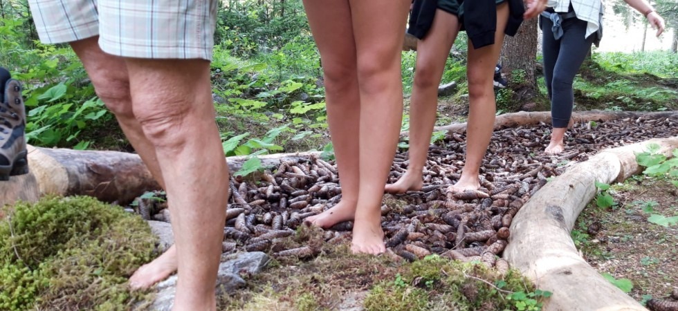 Curarsi stando a contatto con la natura, in Val di Rabbi arriva il primo "park therapy"
